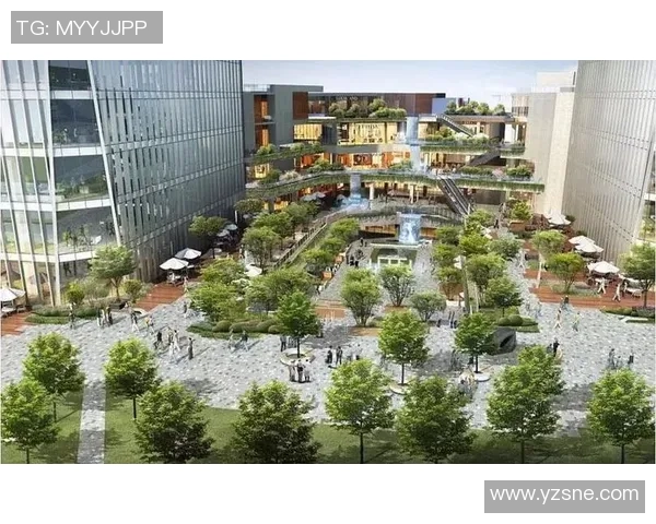 成都篮球队在联合会杯中的状态表现分析与未来展望