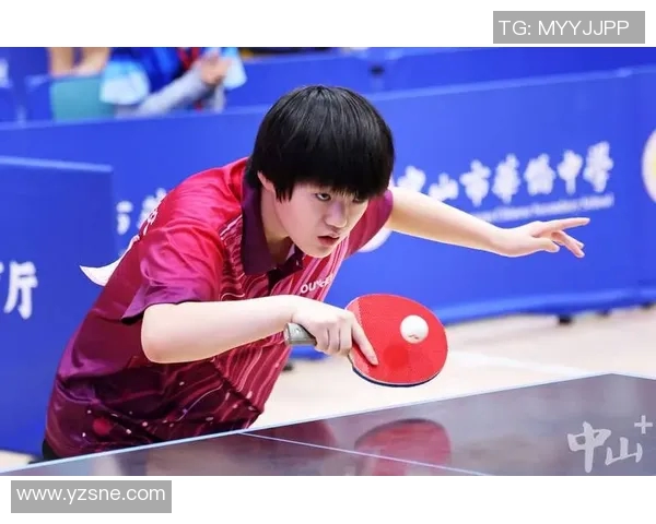 杭州乒乓球队战术解析与发展策略探讨聚焦乒乓球运动的未来之路